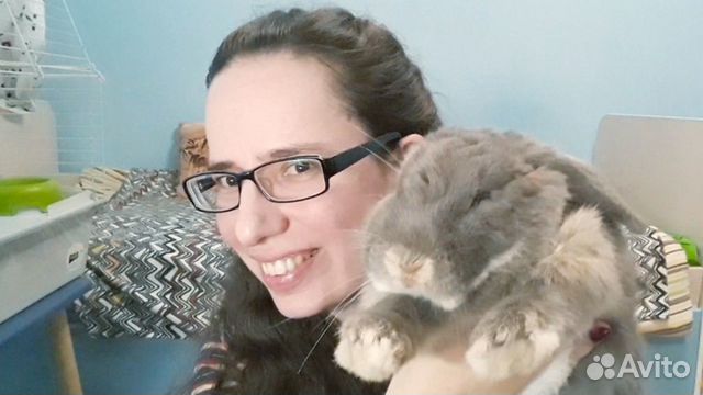 Передержка крыс, попугаев, морских свинок, хомяков