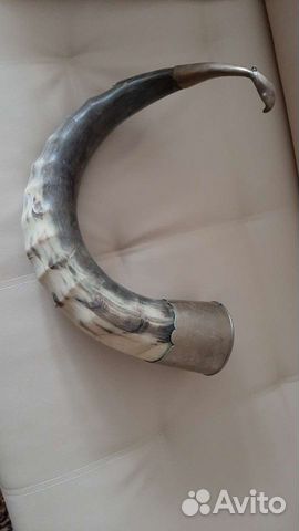 Продам рог горного тура