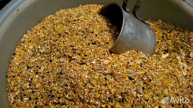 Зерно Корма