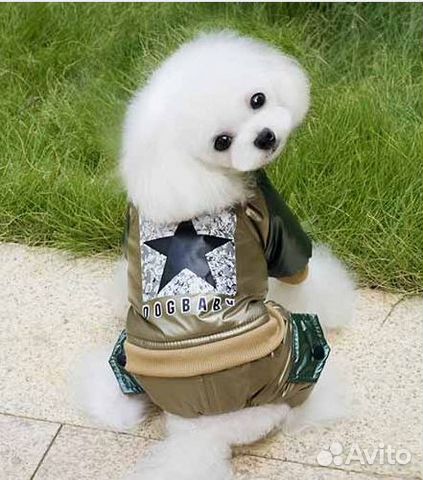 Комбинезон для маленькой собачки