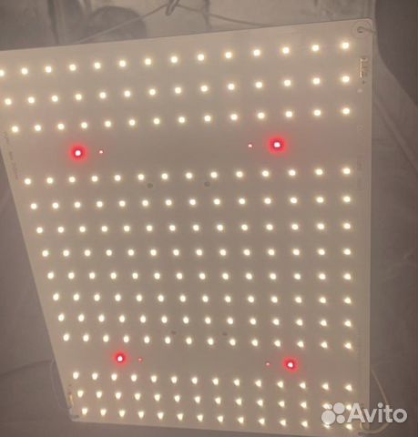 Quantum board Seoul 80w