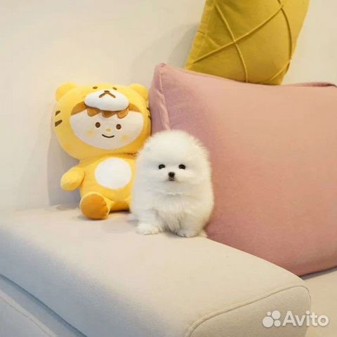 Минимишки*Доставка/Самовывоз