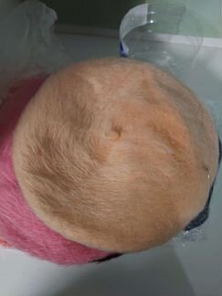 Берет женский шерсть верблюда в ассорт