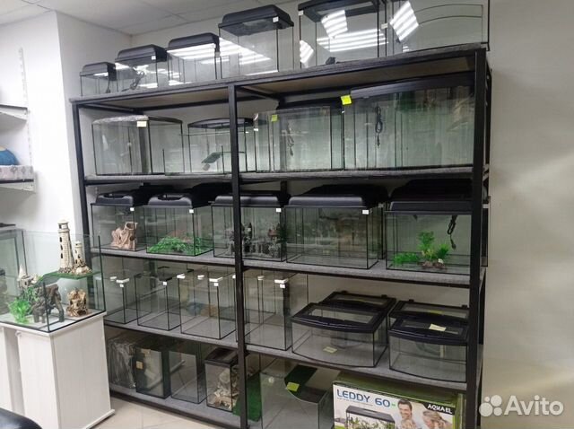 Большой выбор аквариумов разных размеров