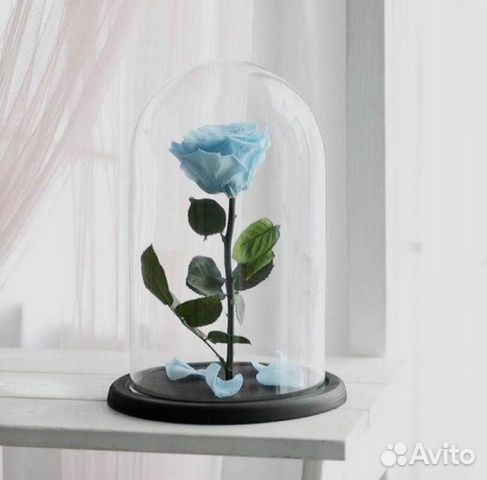 Неувядающая роза в колбе