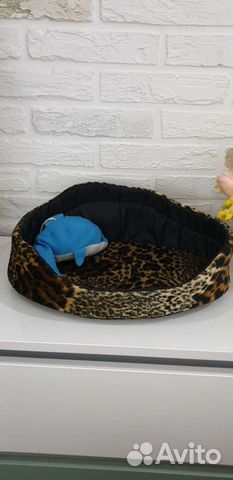 Лежанка и наряды для питомца