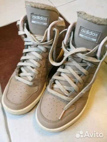 adidas cloudfoam hoops winter