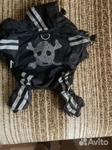 Одежда для собак