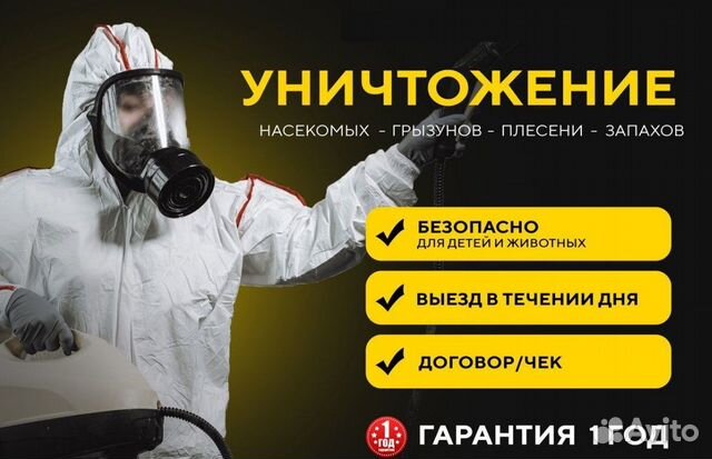 Уничтожение клопов тараканов блох грызунов плесени