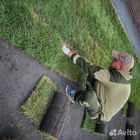 Работник зеленого хозяйства, садовник (без опыта)