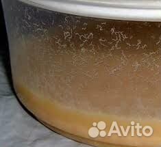 Микрочервь нематод стартовый корм для мальков