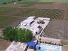 Виноградный комплекс в Крыму объявление продам