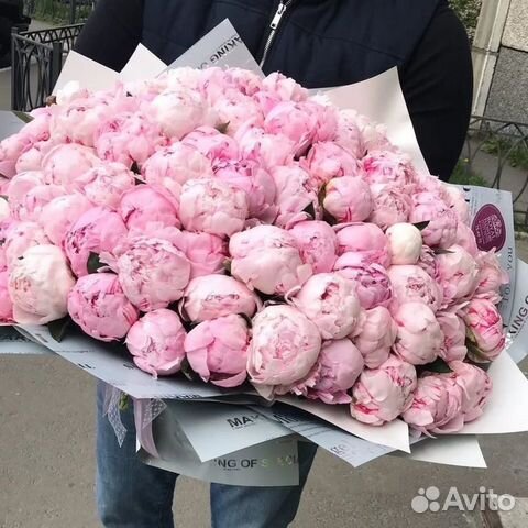 Пионы Роскошные цветы Для прекрасной девушки купить в Санкт-Петербурге ...