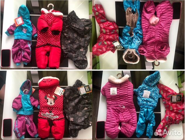 Товары для животных (одежда, ошейники, намордники)