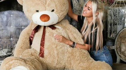 Плюшевый мишка Большой медведь