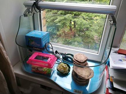 Террариум с аксессуарами