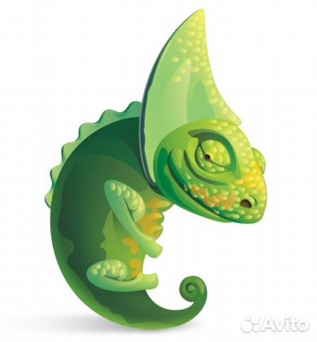 Передержка хамелеонов и других рептилий