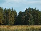 Сельхоз бизнес купить в свердловской области