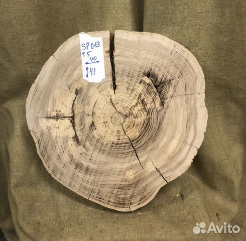 Спил карагача