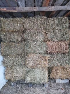 Сено в мини рулонах