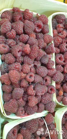 Малина отборная вкусная из Белоруссии с доставкой