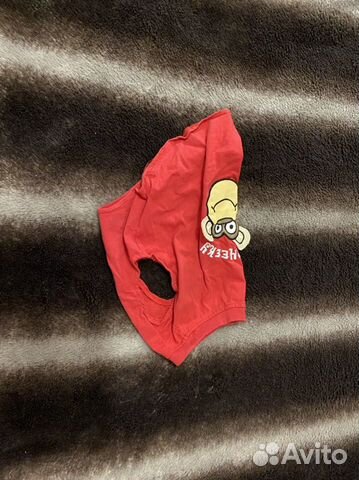 Одежда для собак