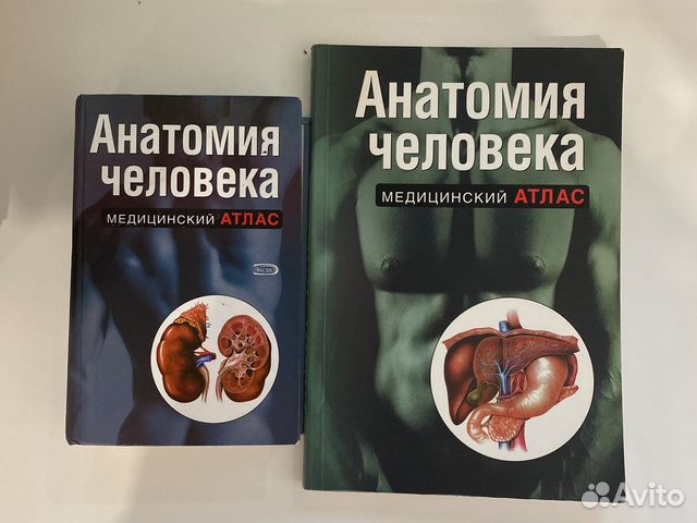 Анатомия человека медицинский атлас, 2008г. Москва,... купить в Санкт ...