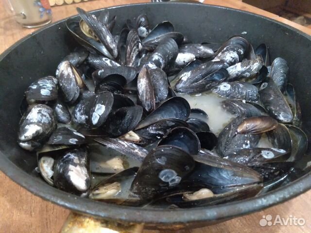 Мидии Свежие