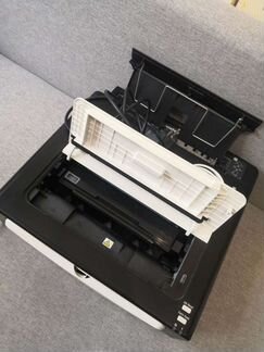 Принтер ricoh SP 100