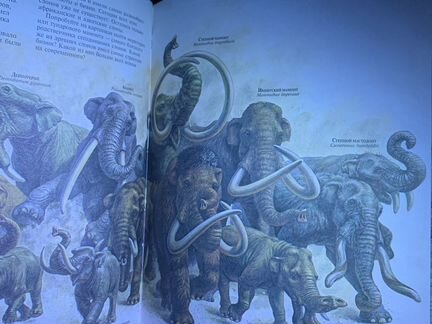 Книга «Мир животных» (энциклопедия животных)