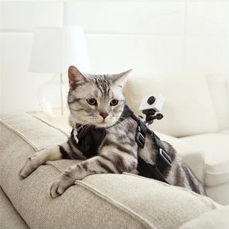 Xiaomi Yi pet mount для питомца 3.5-7 кг (новое)