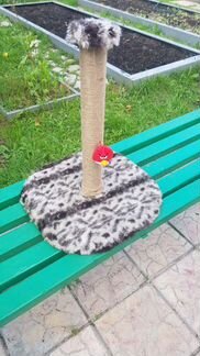 Когтеточка