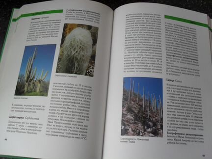 Кактусы в нашем доме книга Гюнтер Андерсон