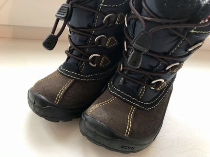 Зимние сапоги Ecco