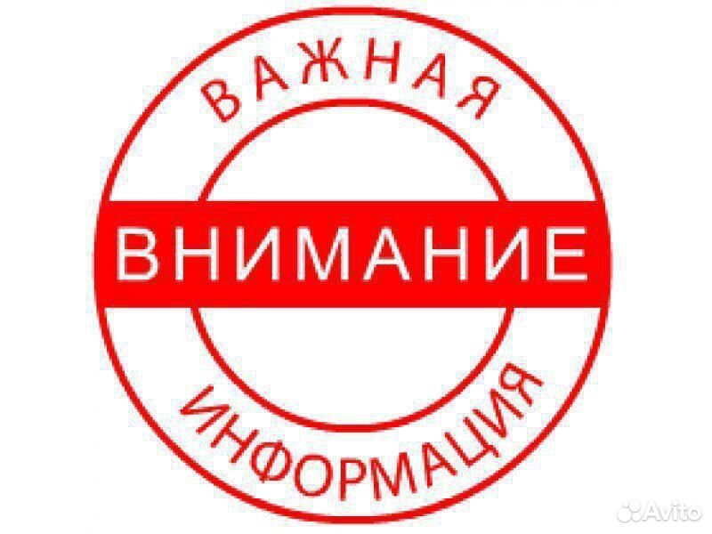 Продаются годовалые бычки