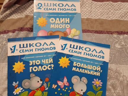 Школа 7 гномов