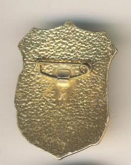 Значок дружинник (СССР)