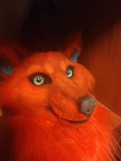 Голова лисы(Фурхед)