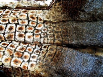 Шуба новая из козлика