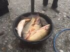 Рыбалка объявление продам