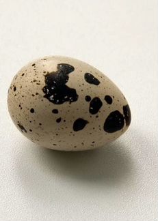 Яйцо перепелинное