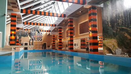 Абонемент, карта 12 мес фитнес Зебра