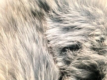 Пуховик на девочку