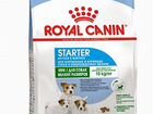 Royal Canin Mini Стартер за 1кг объявление продам