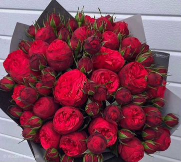 Пионовидные Розы