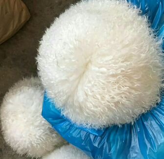 Папаха из натуральный шерсти