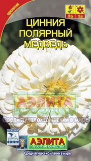 Рассада однолетников, цветочки, цинния