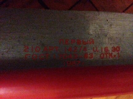 Беговые лыжи estonia Visu