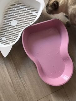 Лоток для котёнка