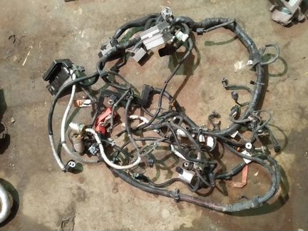 Опель Антара Шевроле Каптива 2.2д проводка двс